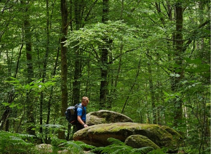 3 jours à la découverte des terres bretonnes sur le GR®37